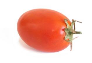 Wilma vs. the Roma Tomato