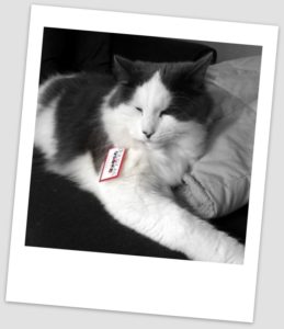 Ollie the breathing Douglas Cuddle Toy