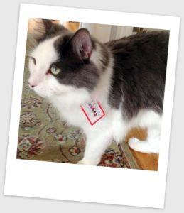 Ollie the breathing Douglas Cuddle Toy