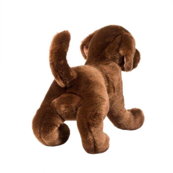 Cocoa Chocolate Lab - Image 6