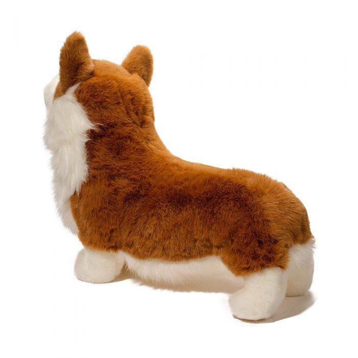 Chadwick Corgi - Image 6