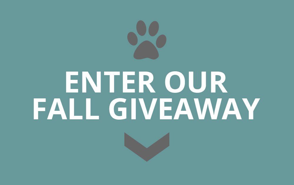 Enter Our Fall Giveaway