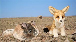 new products dessert