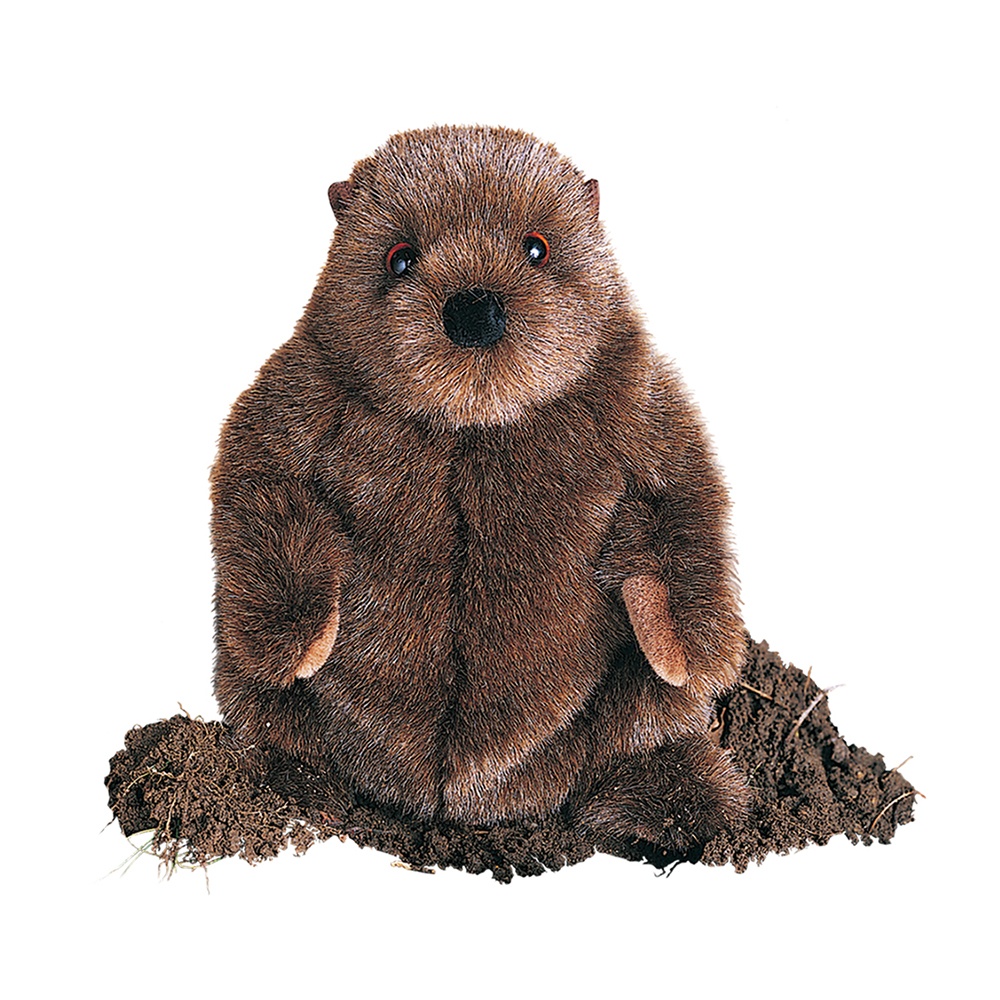 stuffed groundhog