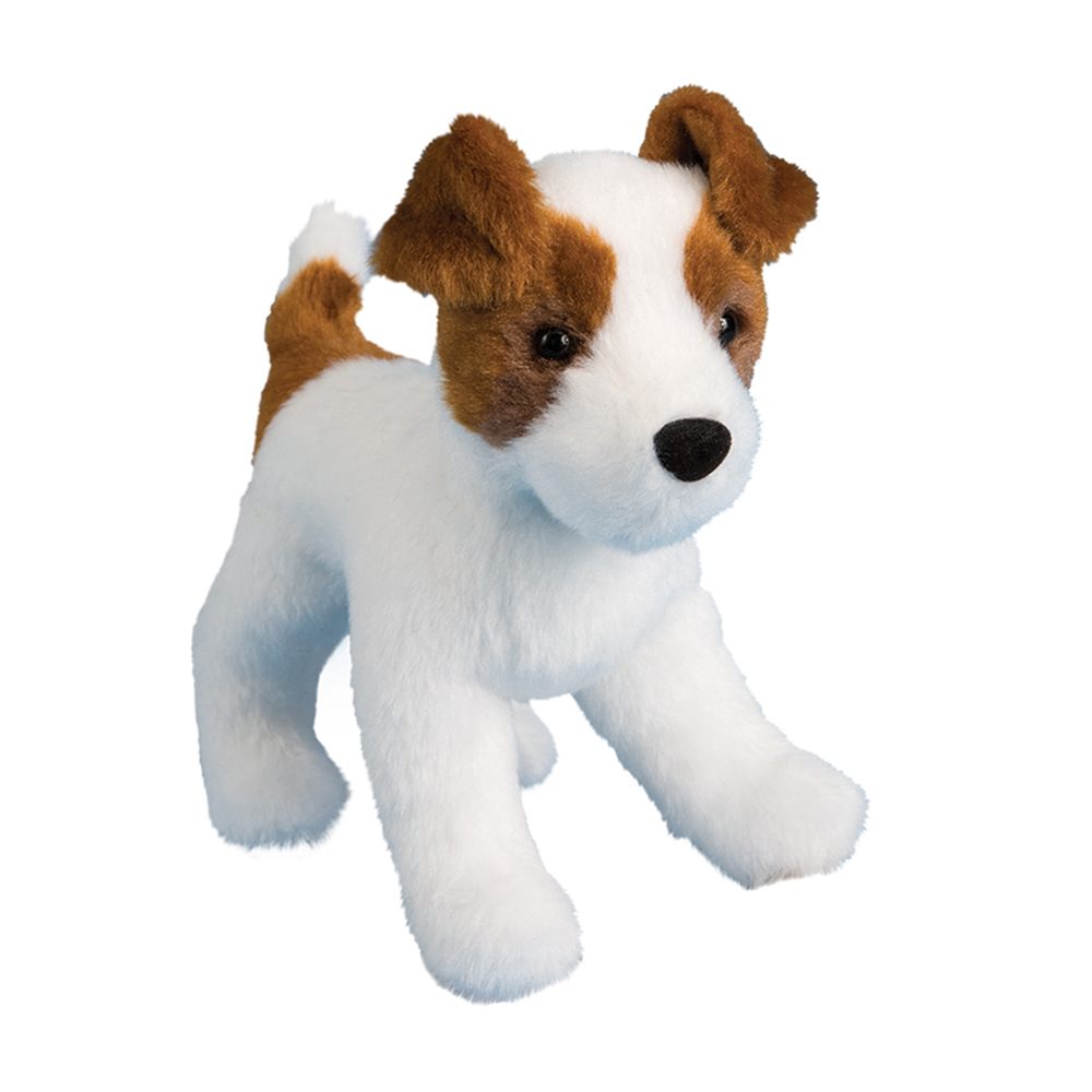 toy jack russell