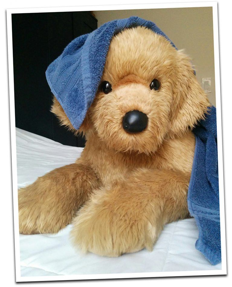 Stuffed Animal Care & Cleaning Quick Guide Douglas Toys