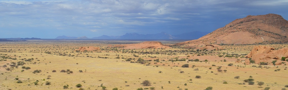 Sparse scrubby plants dot the yellow sands of a desert that stretches away to distant, blue mountains.