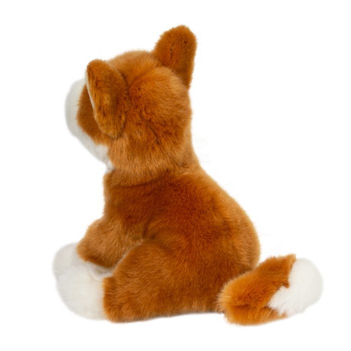 Aki Shiba Inu - Image 3