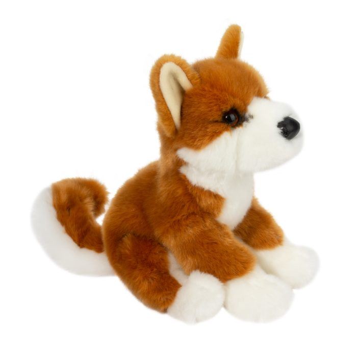 Aki Shiba Inu - Image 4