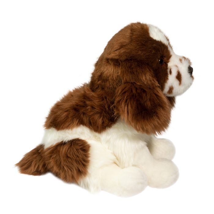 Chip Springer Spaniel - Image 4