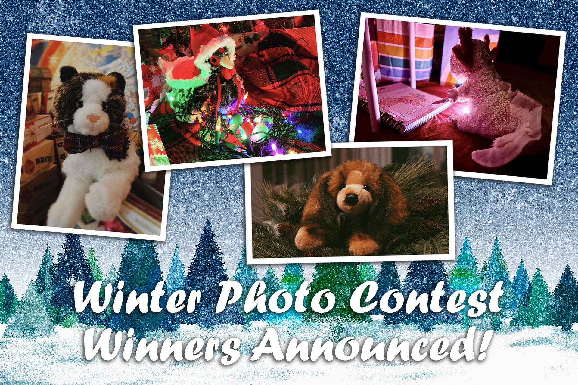 Winter Photo Contest Winners!