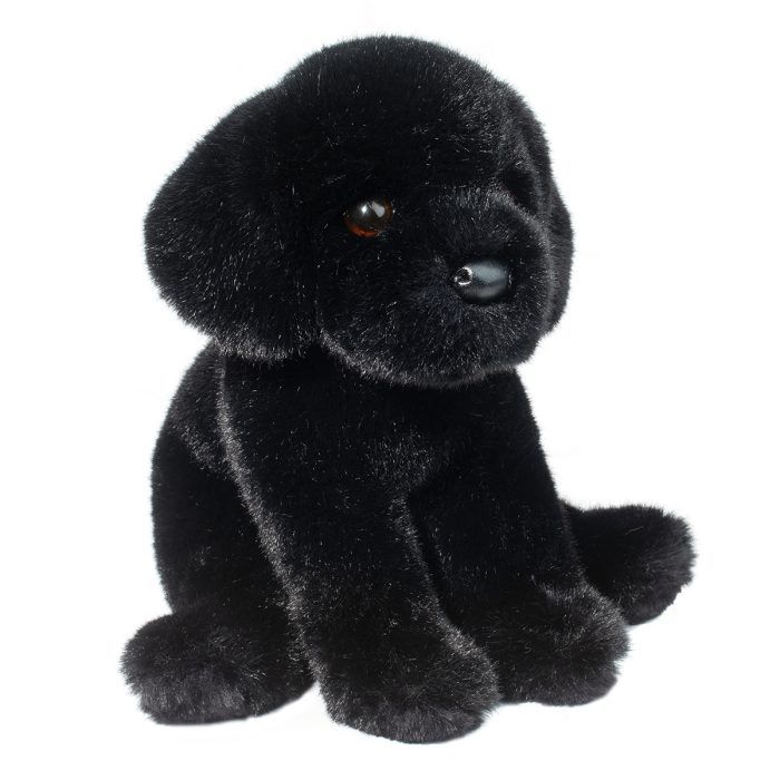 Ford Black Lab - Image 5