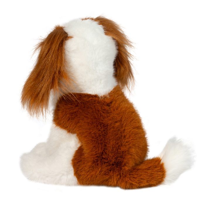 Kingsley Cavalier King Charles Spaniel - Image 3