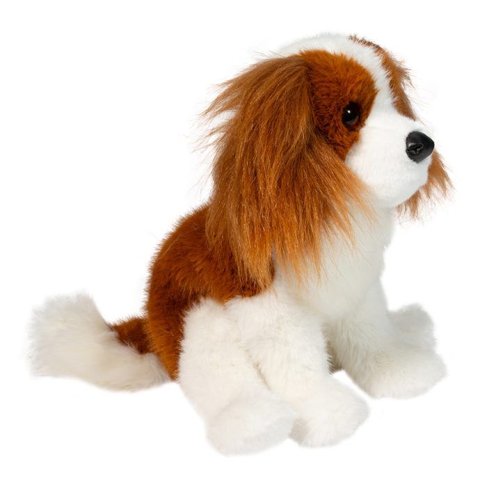 Kingsley Cavalier King Charles Spaniel - Image 4