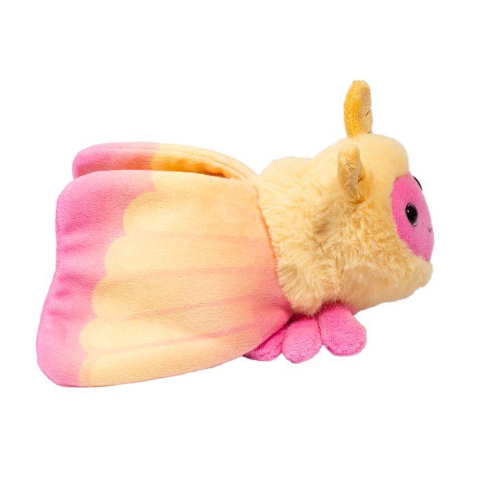 Rosy Maple Moth - Image 6