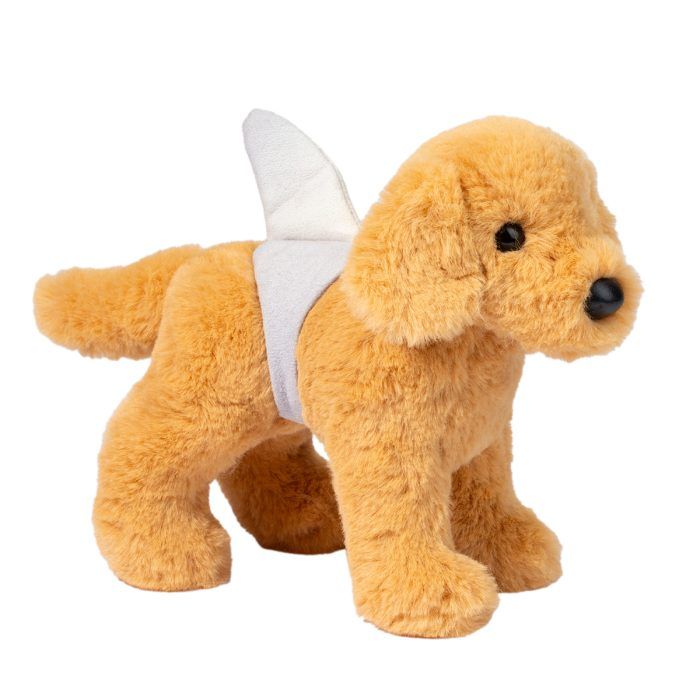 Sharky Golden Retriever