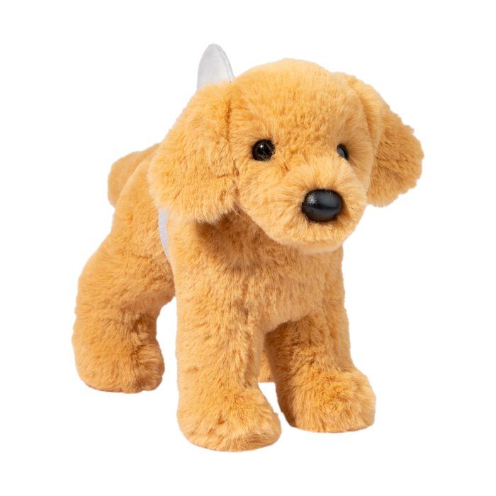 Sharky Golden Retriever - Image 2