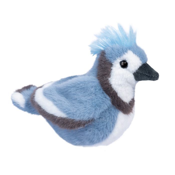 Denim Blue Jay