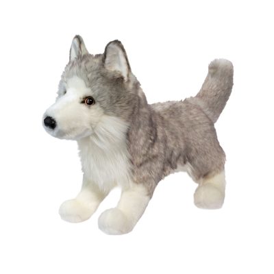 White and gray wolf standing on 4 legs