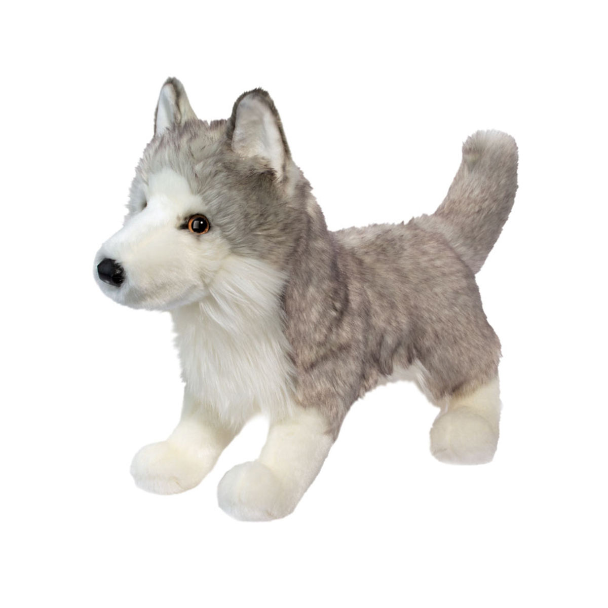 White and gray wolf standing on 4 legs