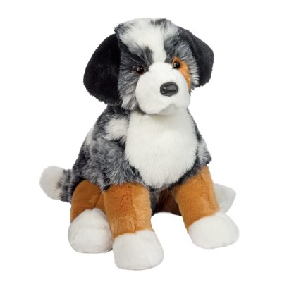 Aspen Australian Shepherd